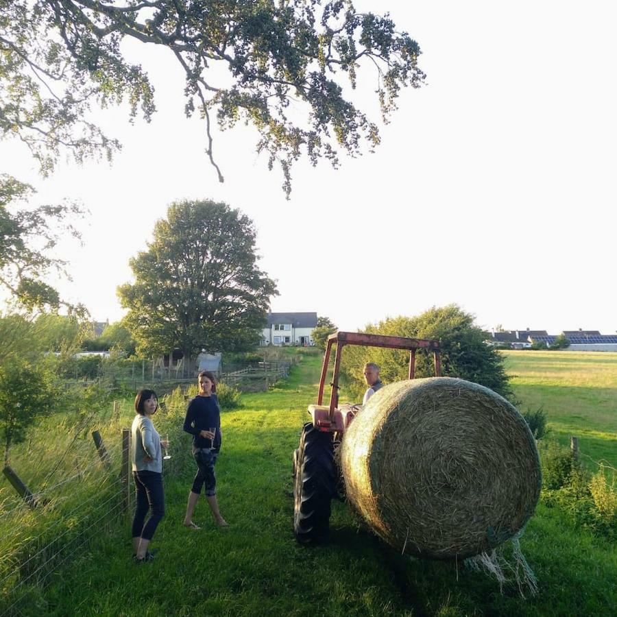 Bastle Retreats Farm Cottage دَنز المظهر الخارجي الصورة